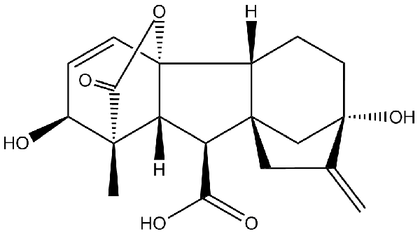 赤霉素GIBBERELLIC ACID，居然有這么神奇？